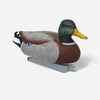 APPELANT COLVERT MALE 100