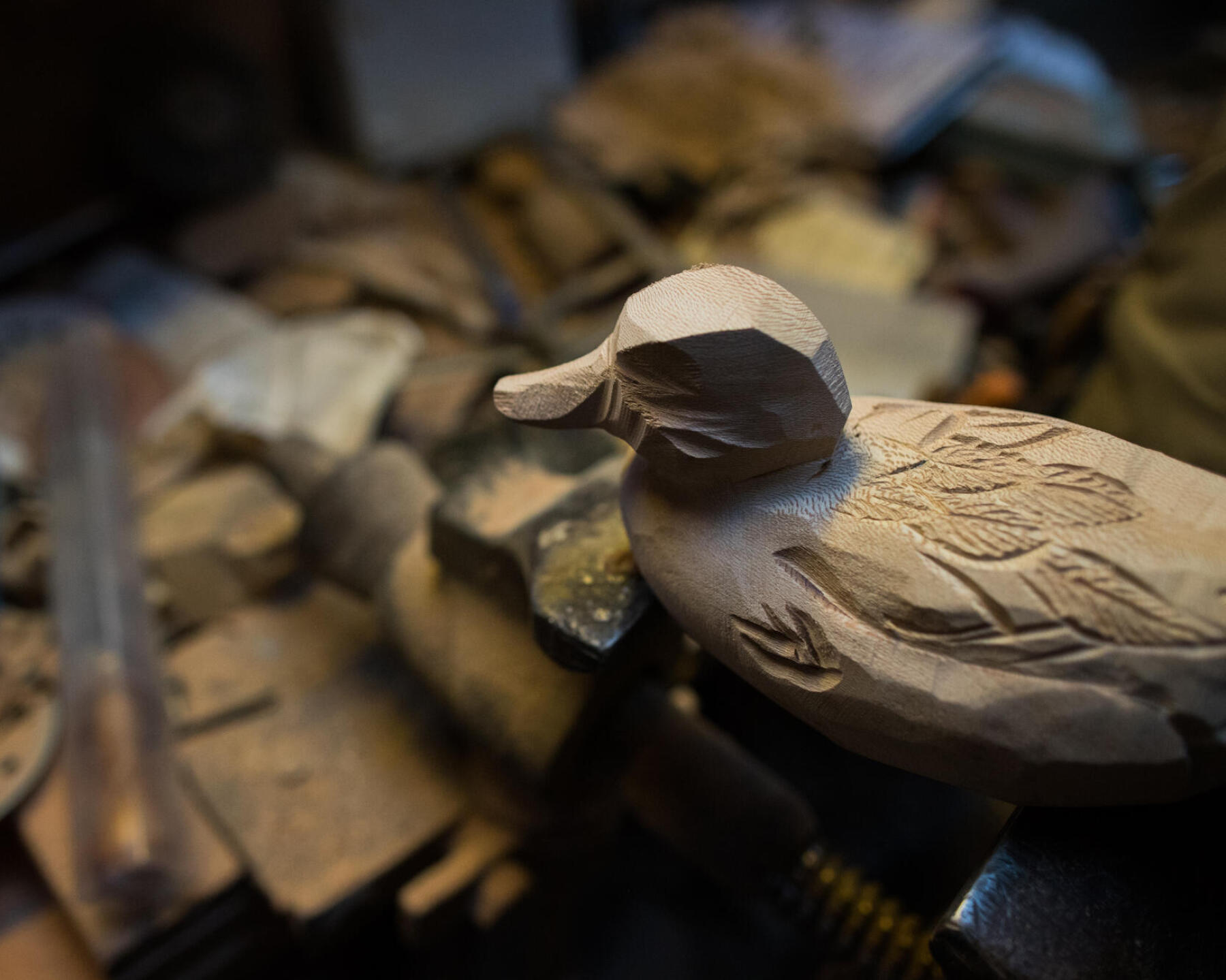La forme de canard prend vie sous les outils du sculpteur