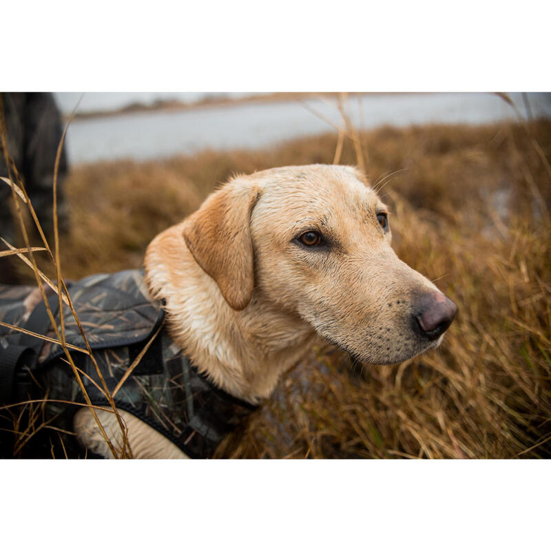 Colete Cão de Caça neoprene 900 pro Camuflado Pântano