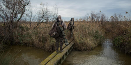 Chasse du petit gibier 