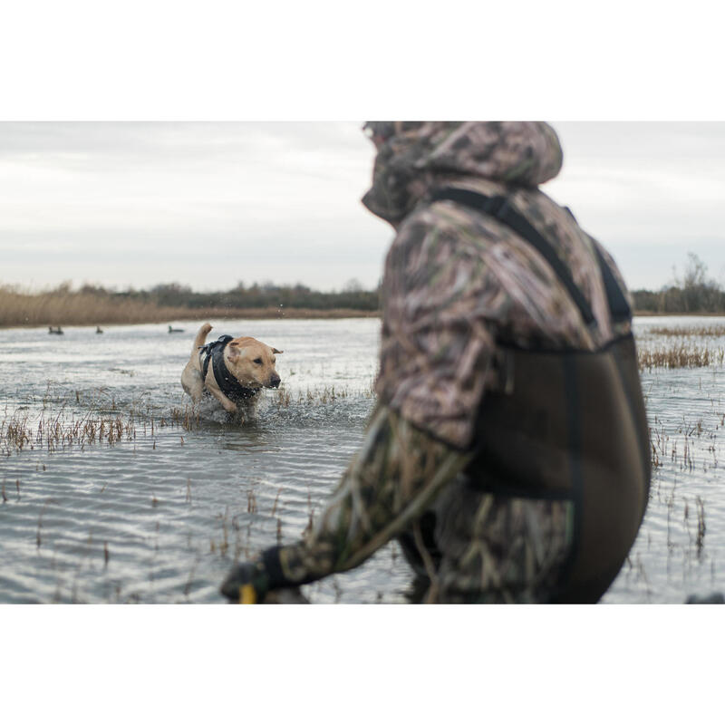 Gilet chien néoprène 900 pro camouflage marais