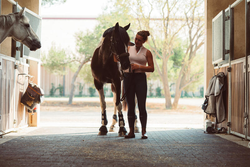 Voelt je paard zich mentaal en fysiek goed in zijn vel?