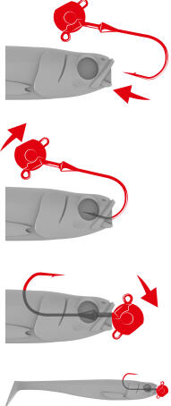 TP TP