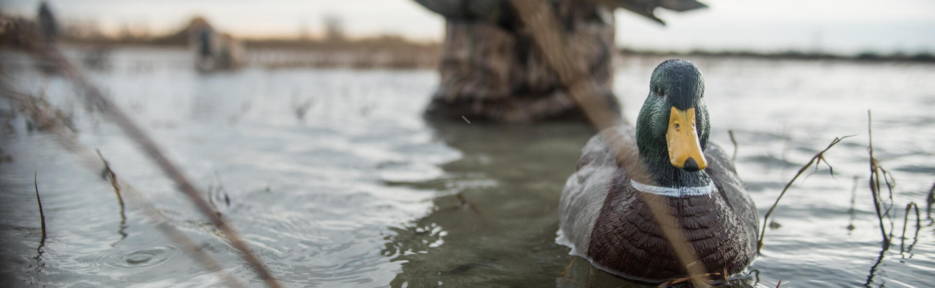 Plastic decoys for hunting waterfowl: choosing and assembling them