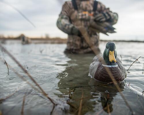 Cadeau de Noël pour chasseur de canard