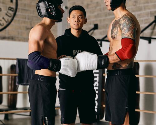 Patte d'ours : pour s'entraîner à la boxe 