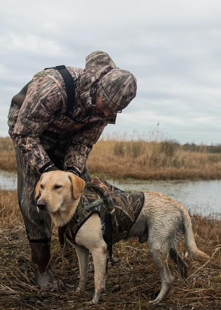 Un article qui explique comment bien protéger son chien de chasse du froid