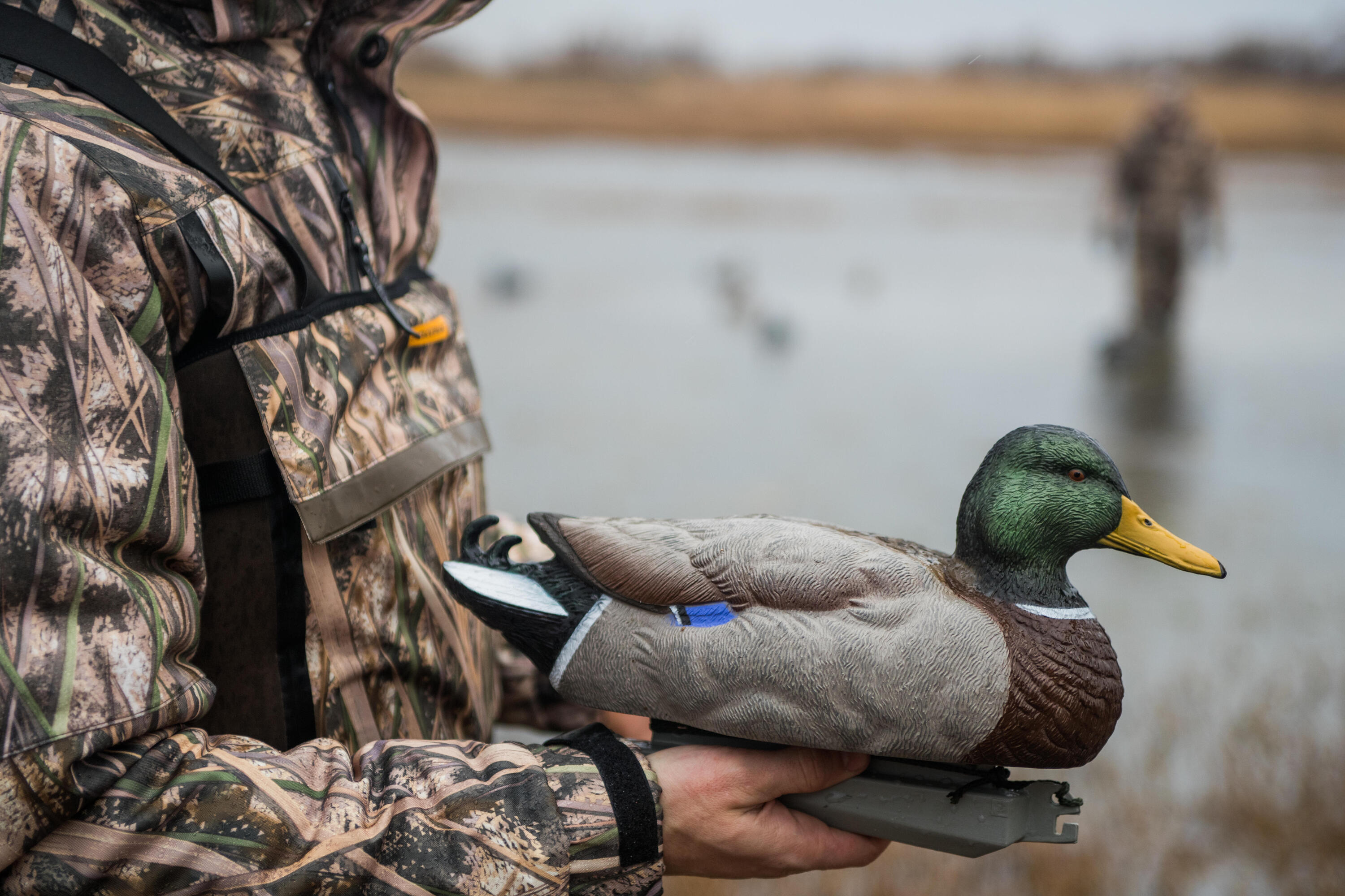 Lockvogel Stockerpel 100  8/8