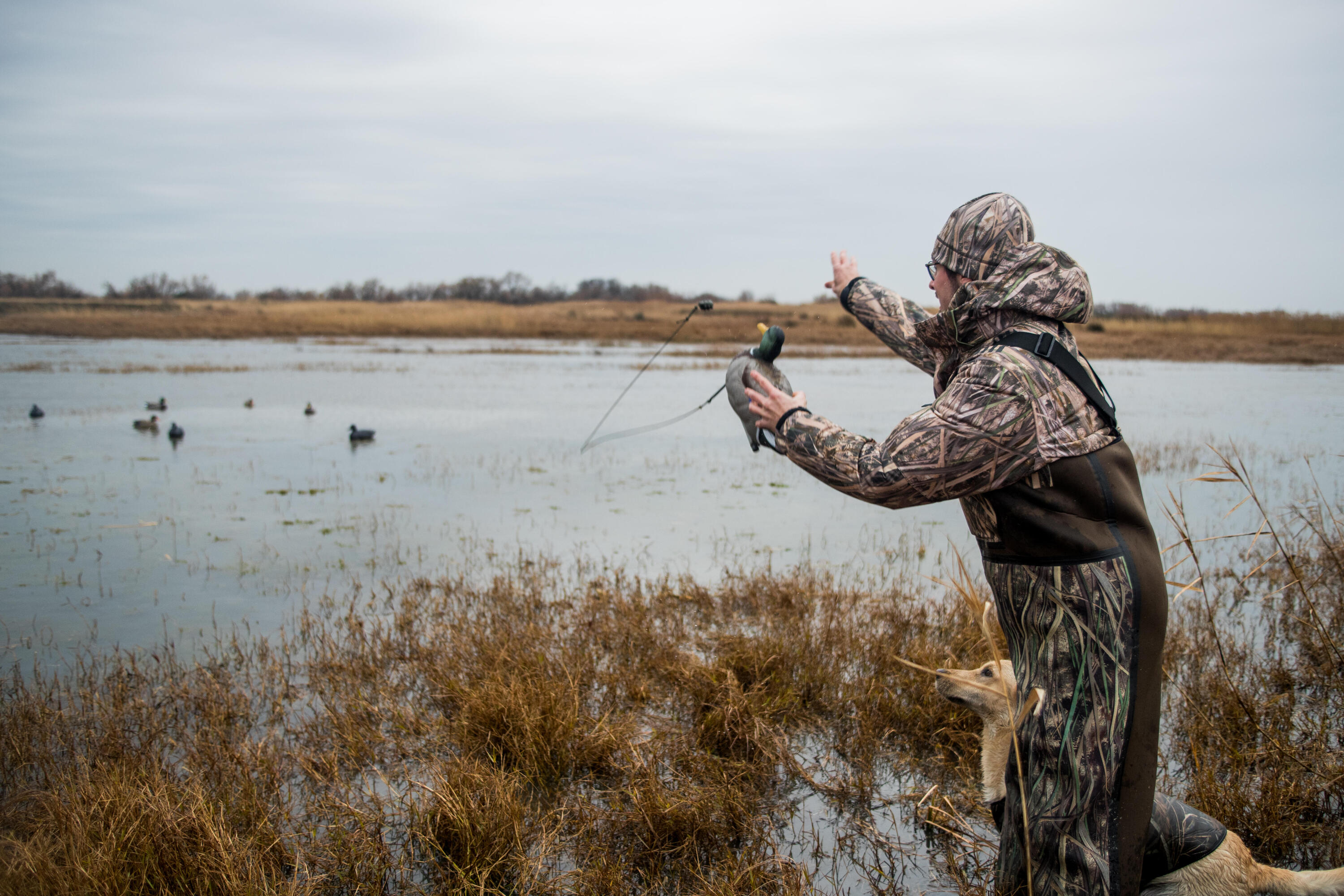 Lockvogel Stockerpel 100  7/8