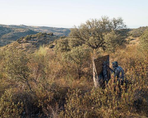 Chasse : 5 conseils pour préparer l'arrivée des grives