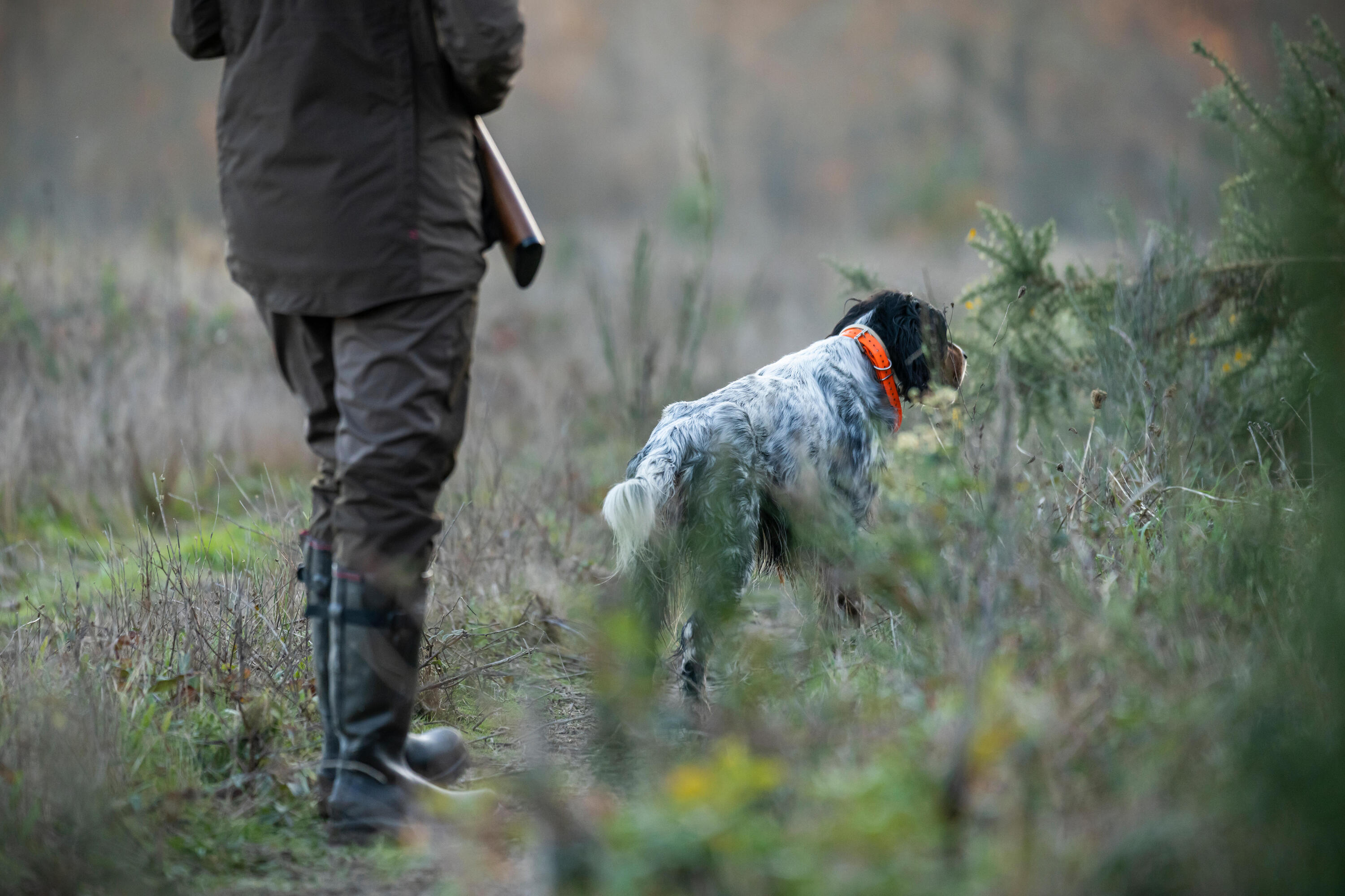 Jagd-Regenhose 500 Damen braun 10/11