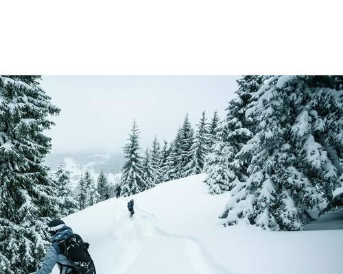 snowboard en poudreuse