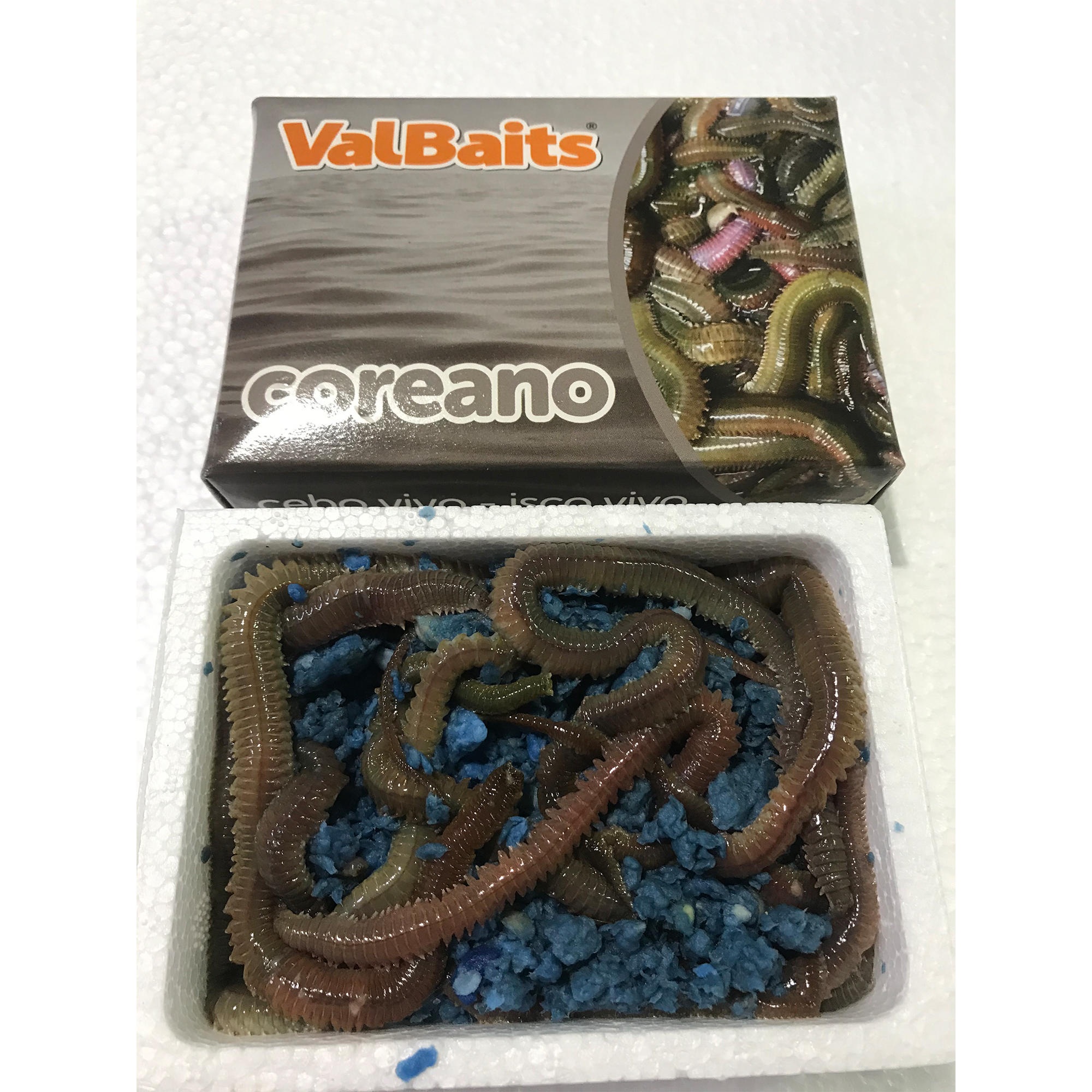 VALBAITS picture