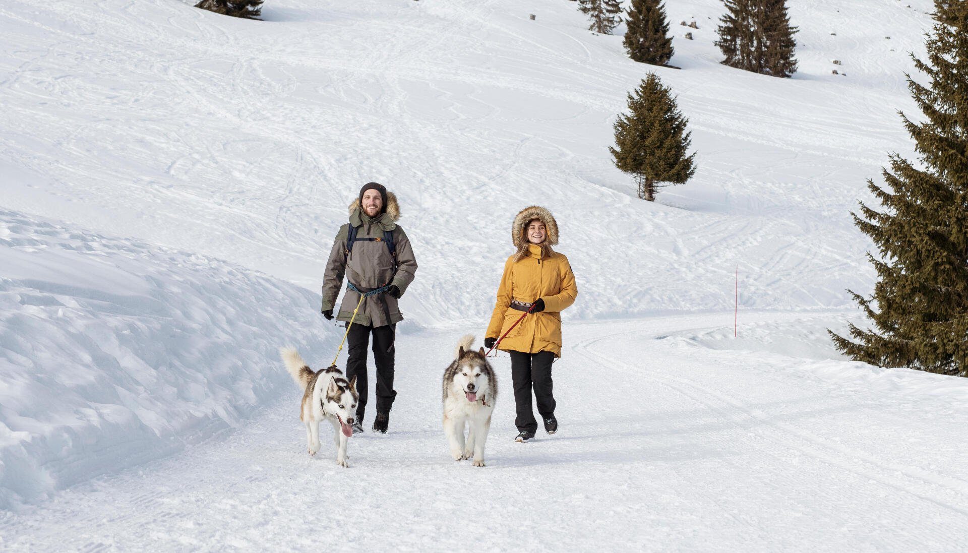 OTHER ACTIVITIES ON A SNOWSHOE WALK