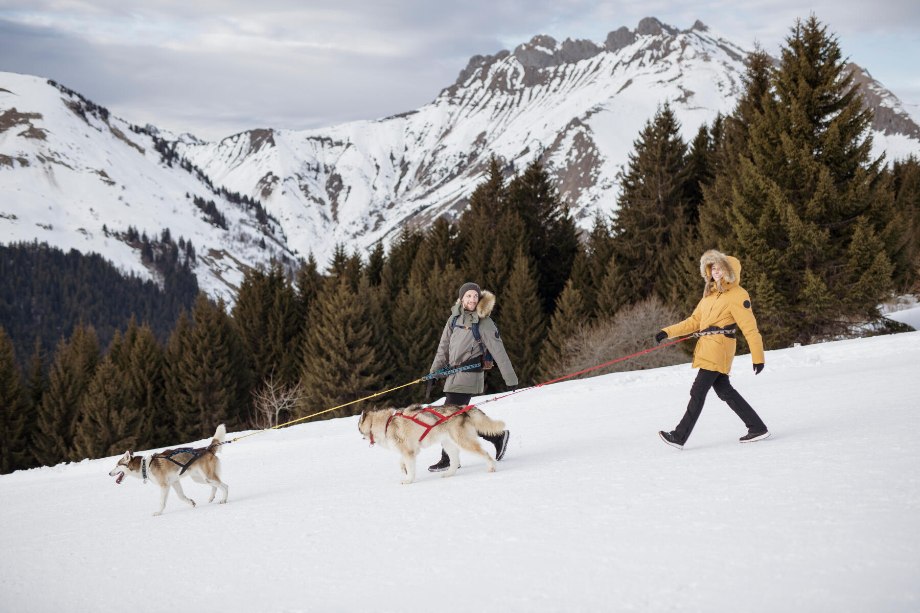 cani-hiking