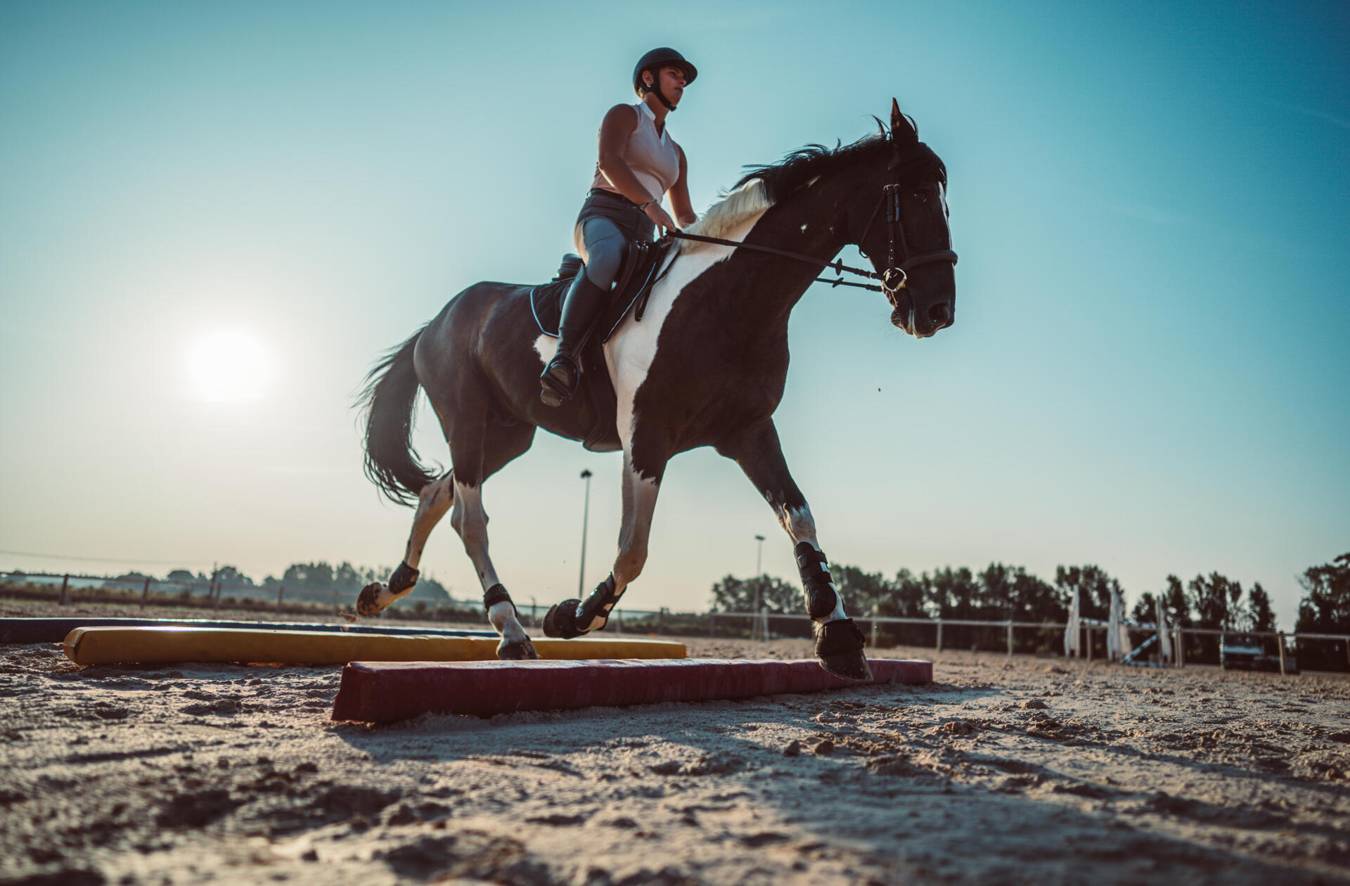 Cheval monté faisant un exercice de barres au sol au trot