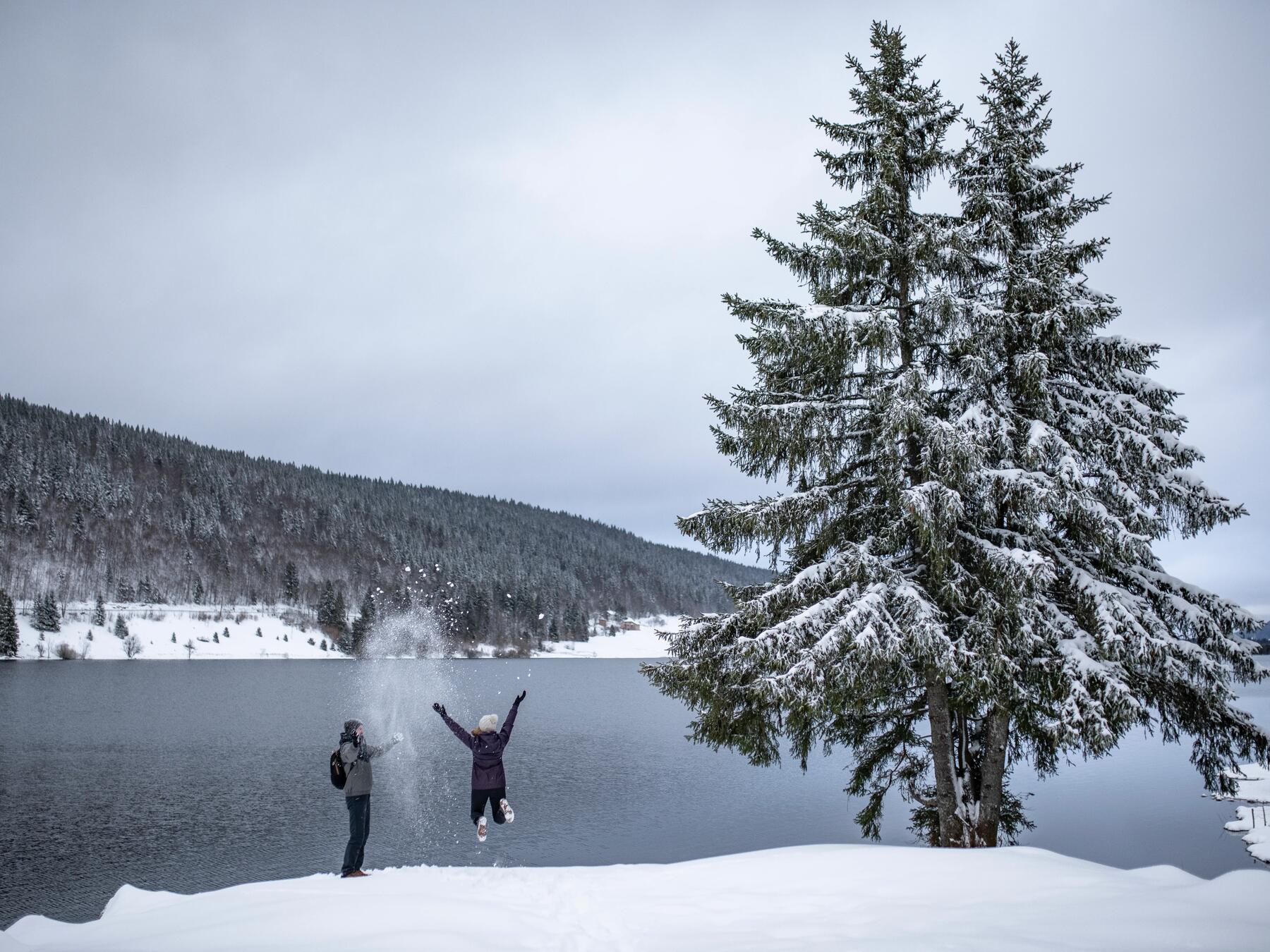 Ontdek het winterwandelen!