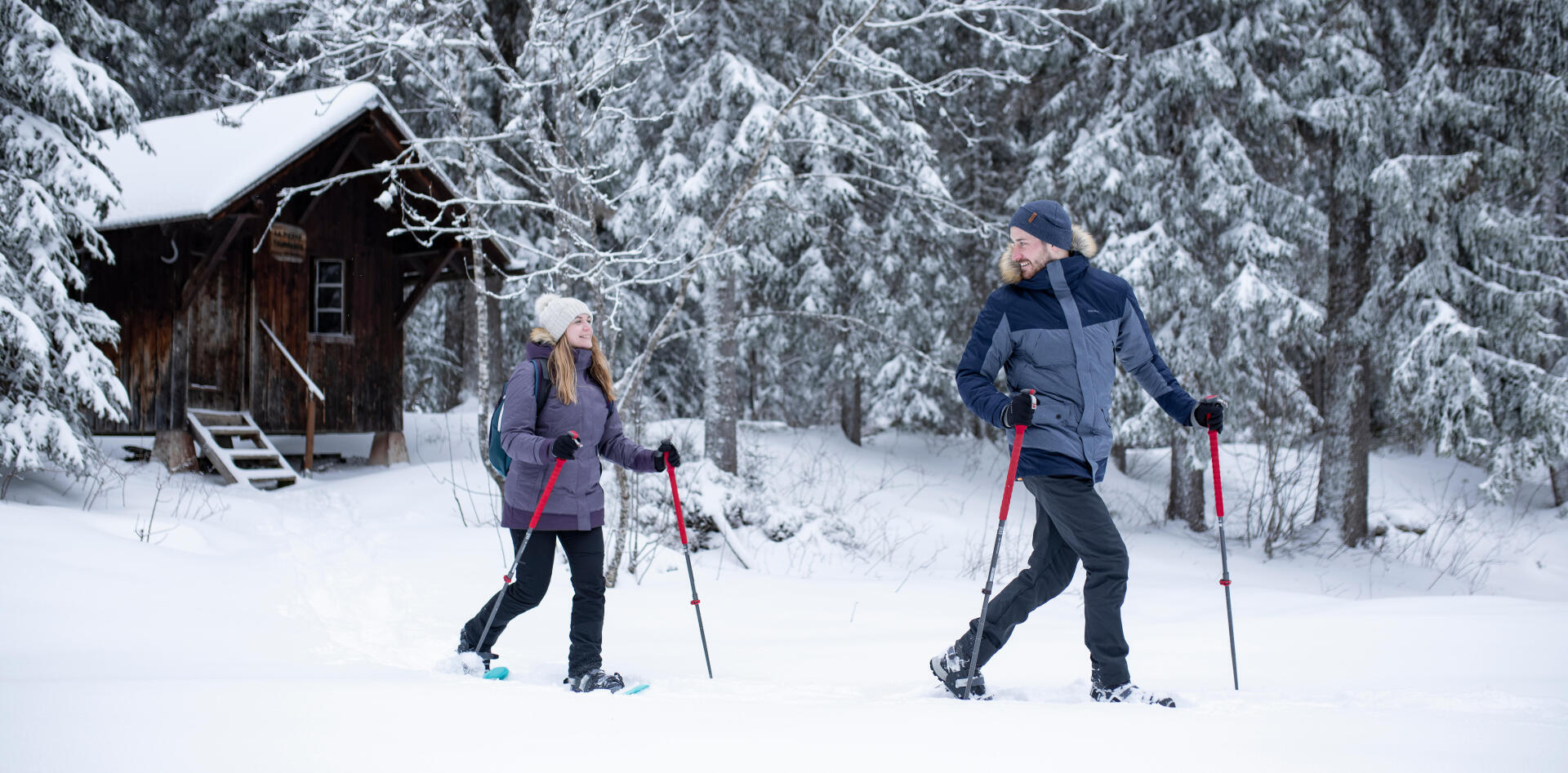 Une femme et un homme font de la randonnée en hiver avec des raquettes à neige et des bâtons avec des sapins à l'arrière plan