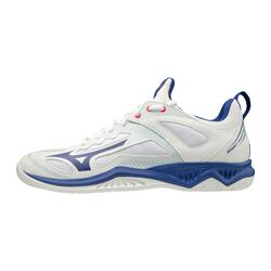 mizuno wave ghost shadow
