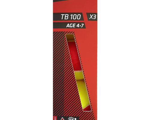Tennis Ball TB100*3 - Red