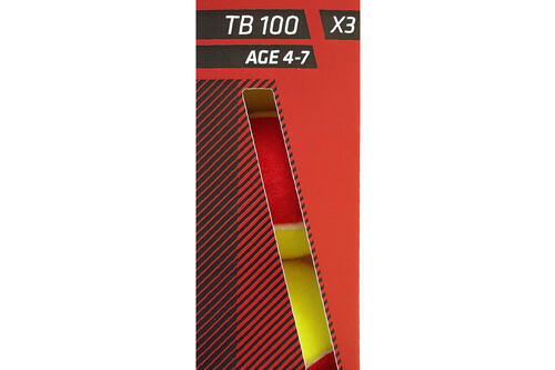 Tennis Ball TB100*3 - Red