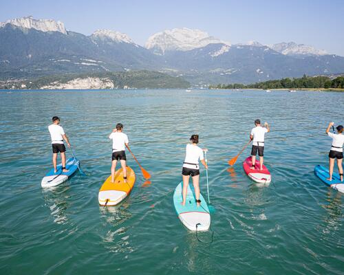 Stand up paddle