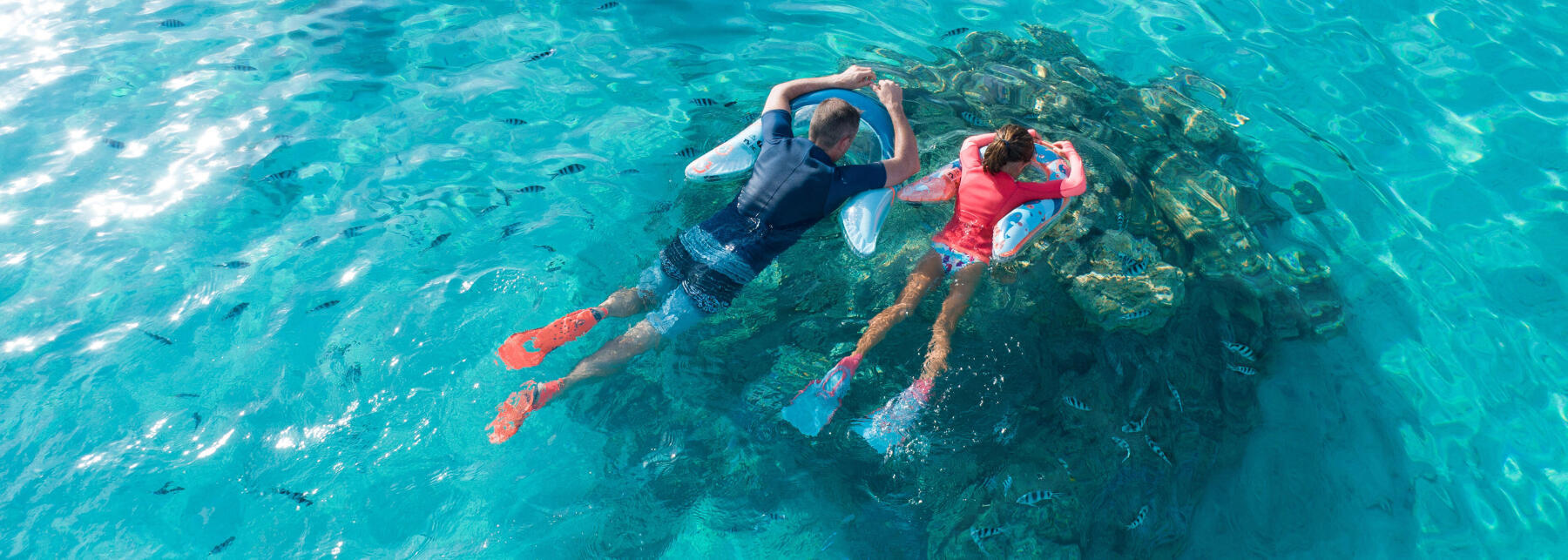 Faz snorkeling… sem pores a cabeça dentro de água!