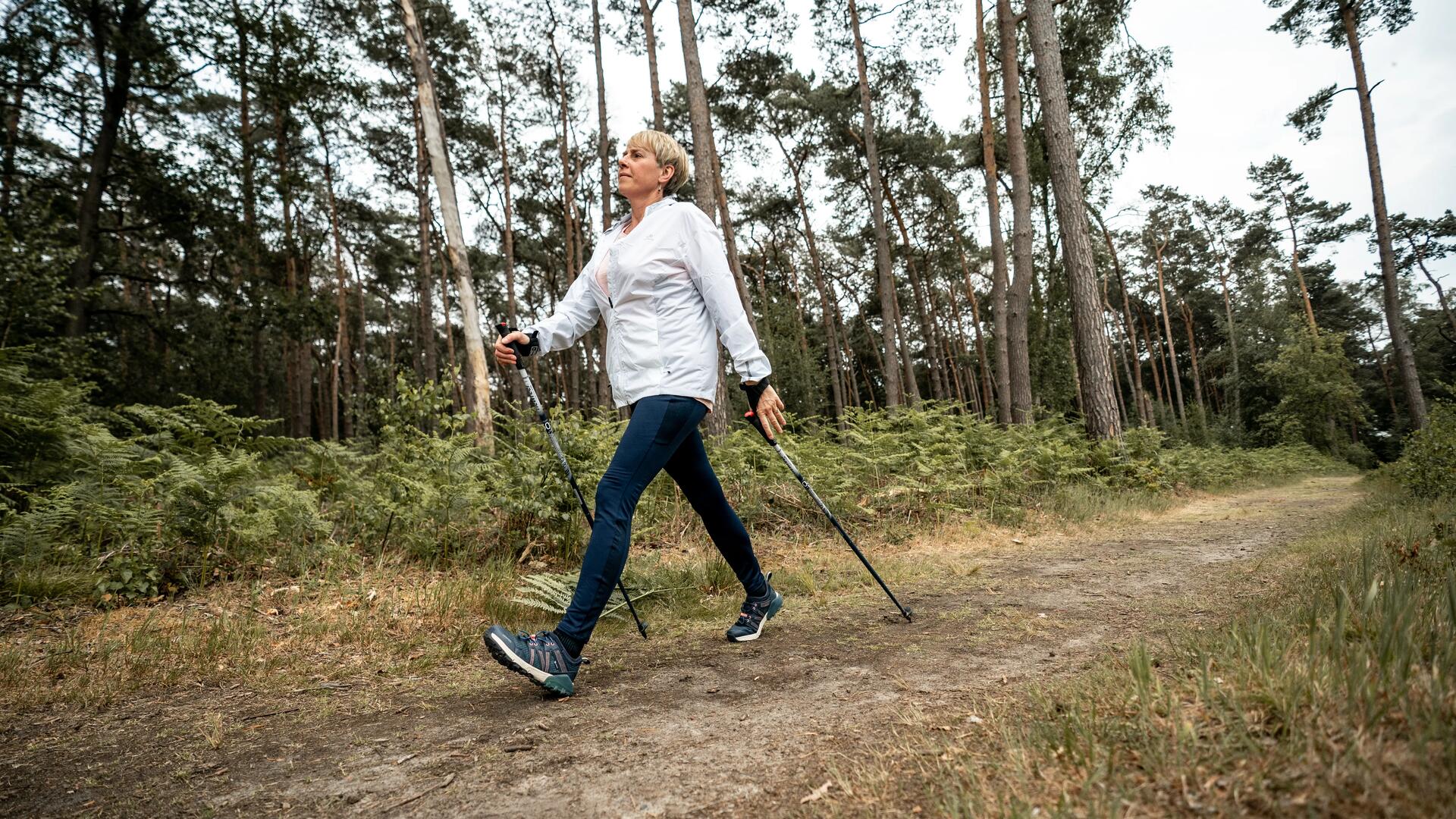 nordic walking