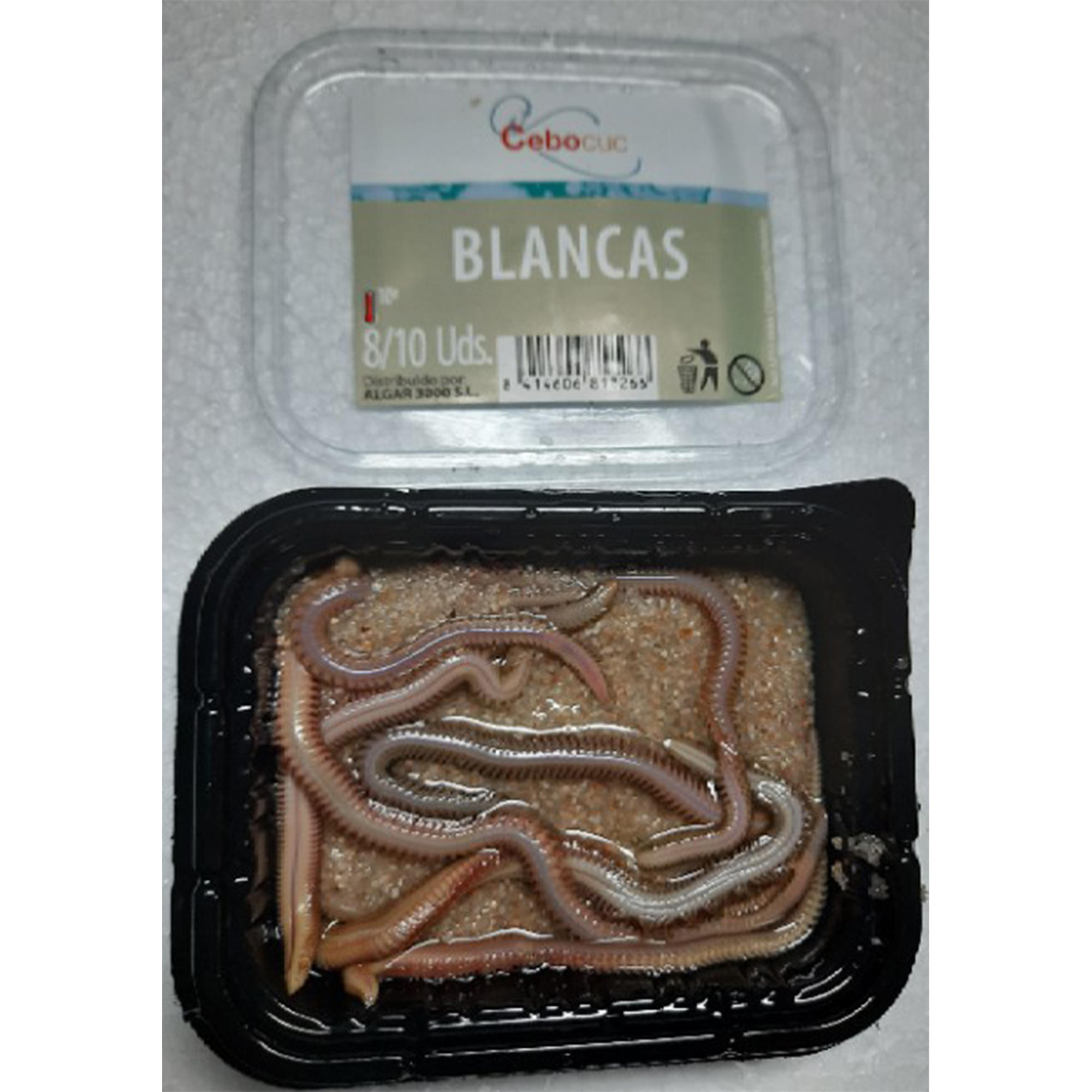 Gusano Inglés / Eléctrica 8-10 Unidades Cebocuc 1/1