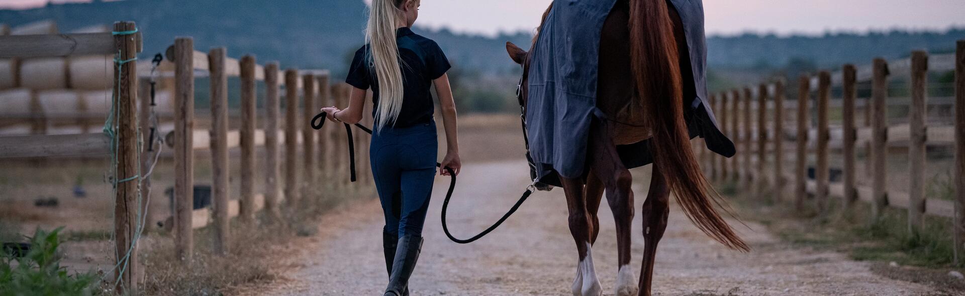 chemise pour cheval