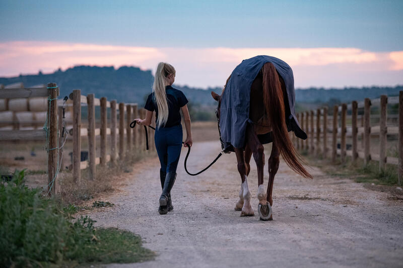 Je paard weer in vorm krijgen