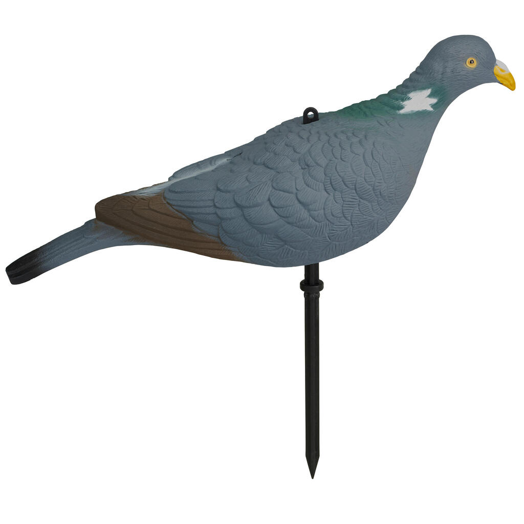 3D paukščio korpusas su kotu