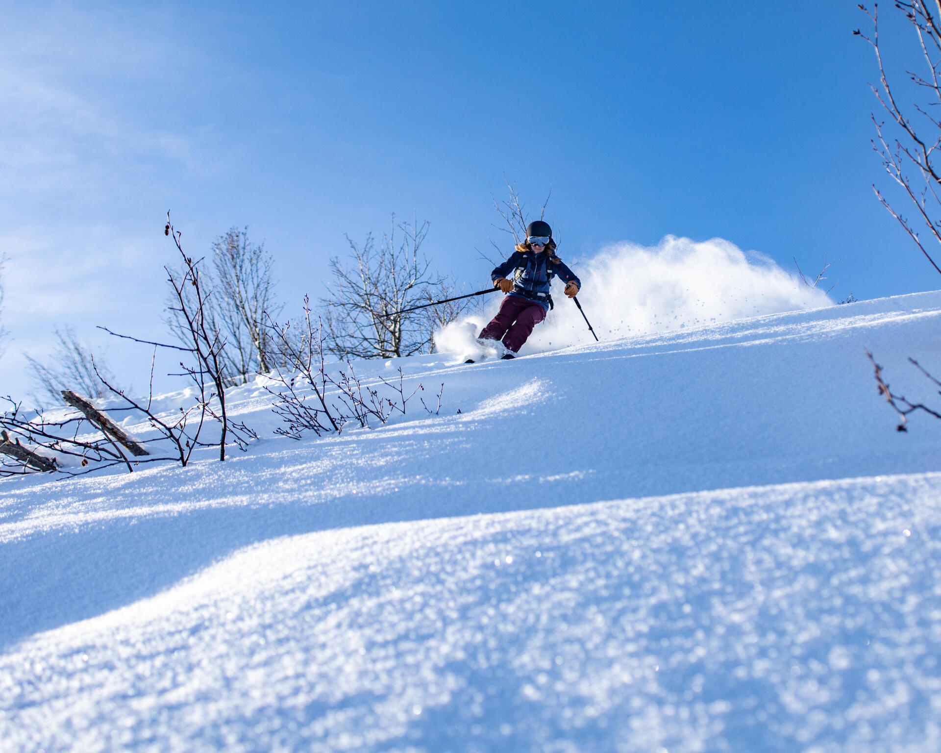 chaussures de ski freeride