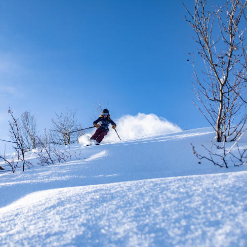 ski de freeride femme slash