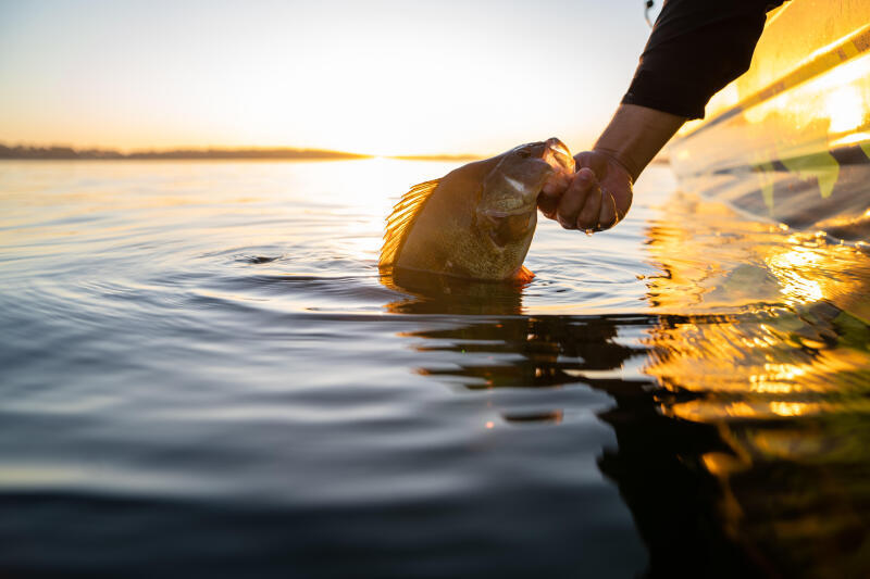 Zestaw woblerów OKOŃ 3 PN: POPPER, MINNOW, CRANKBAIT 