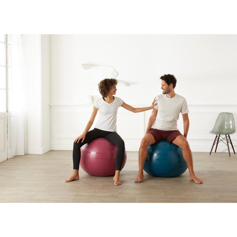 Minge Fitness SWISS Gym ball Mărimea 1 / S (55 cm) Roz 