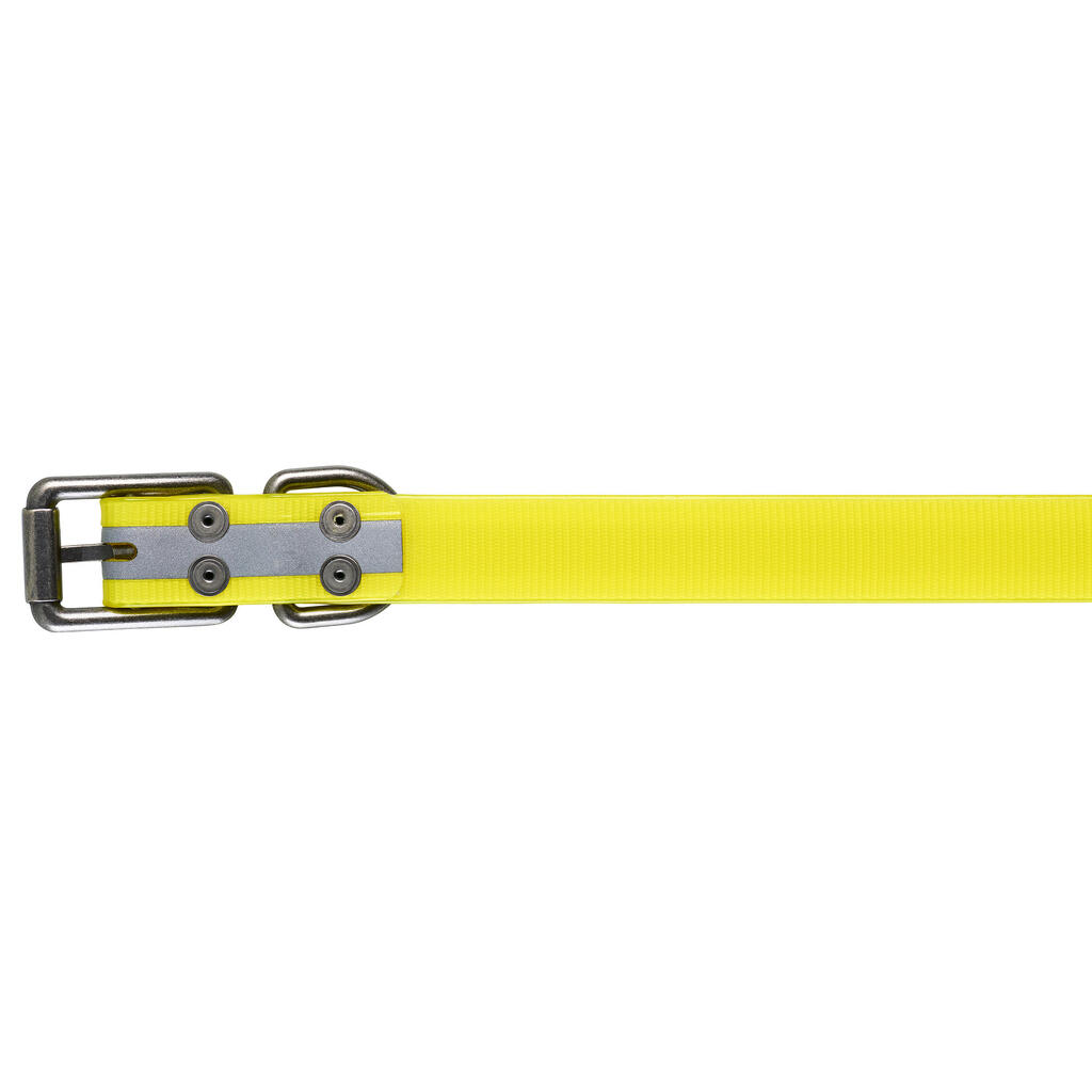 Yellow reflective dog collar 520