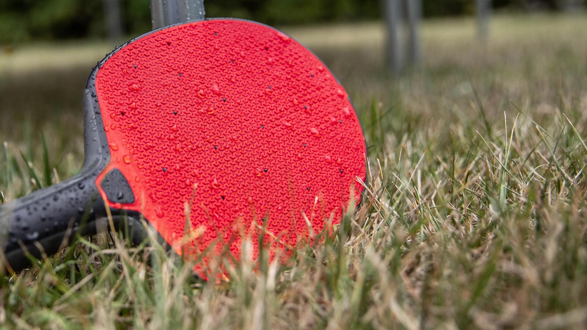 raquette de tennis de table