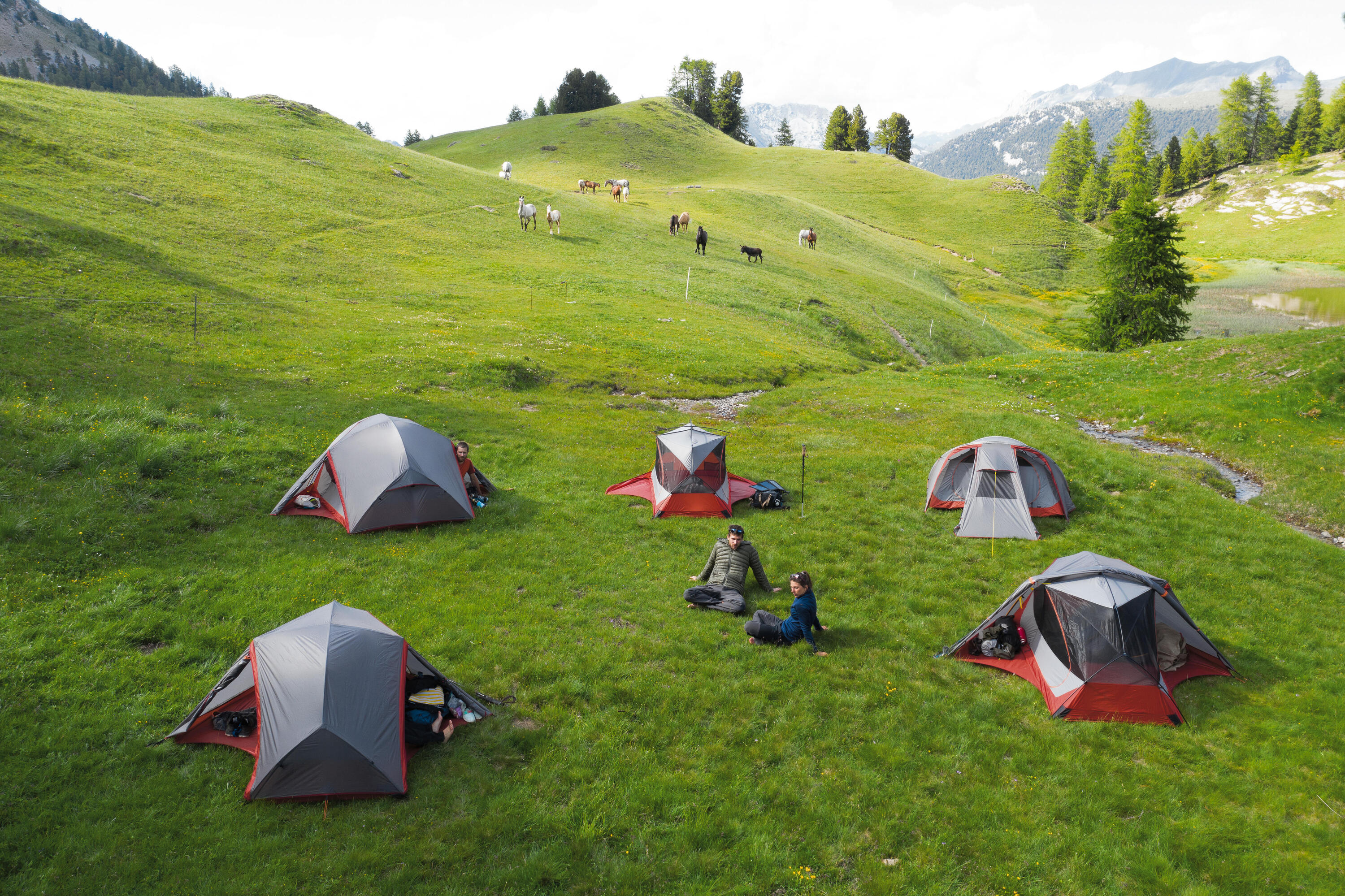 Dome Trekking Tent - 3 person - MT900 2/16