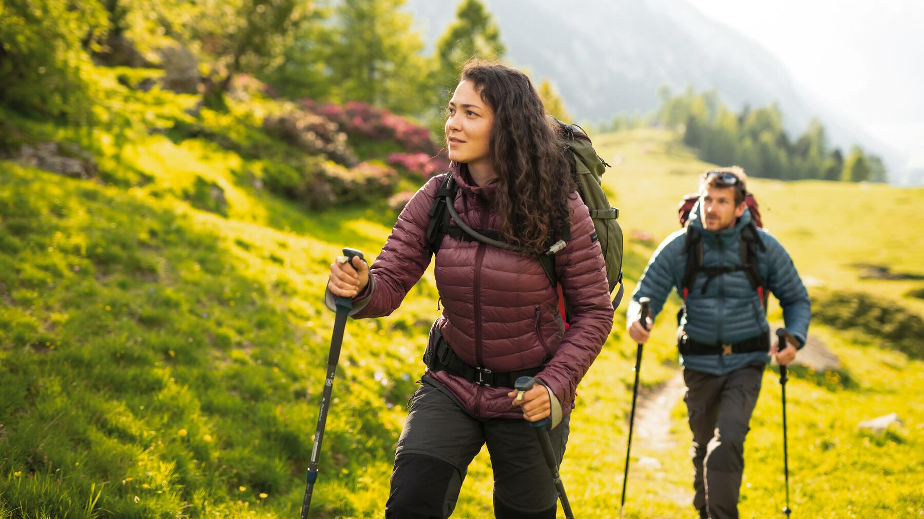 Two people hiking in greenery