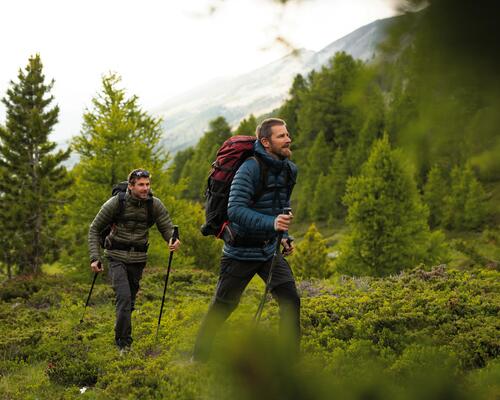 tb-nature-hiking-amis