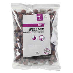 CARP FISHING BOILIE WELLMIX 20 MM 1 KG - SPICY BF