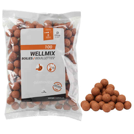 
      CARP FISHING BOILIES WELLMIX GAMMARUS 20MM 1KG
  