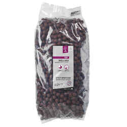 CARP FISHING BOILIE WELLMIX 20 MM 10 KG - SPICY BIRDFOOD