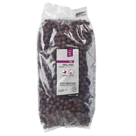 CARP FISHING BOILIE WELLMIX 20 MM 10 KG - SPICY BIRDFOOD