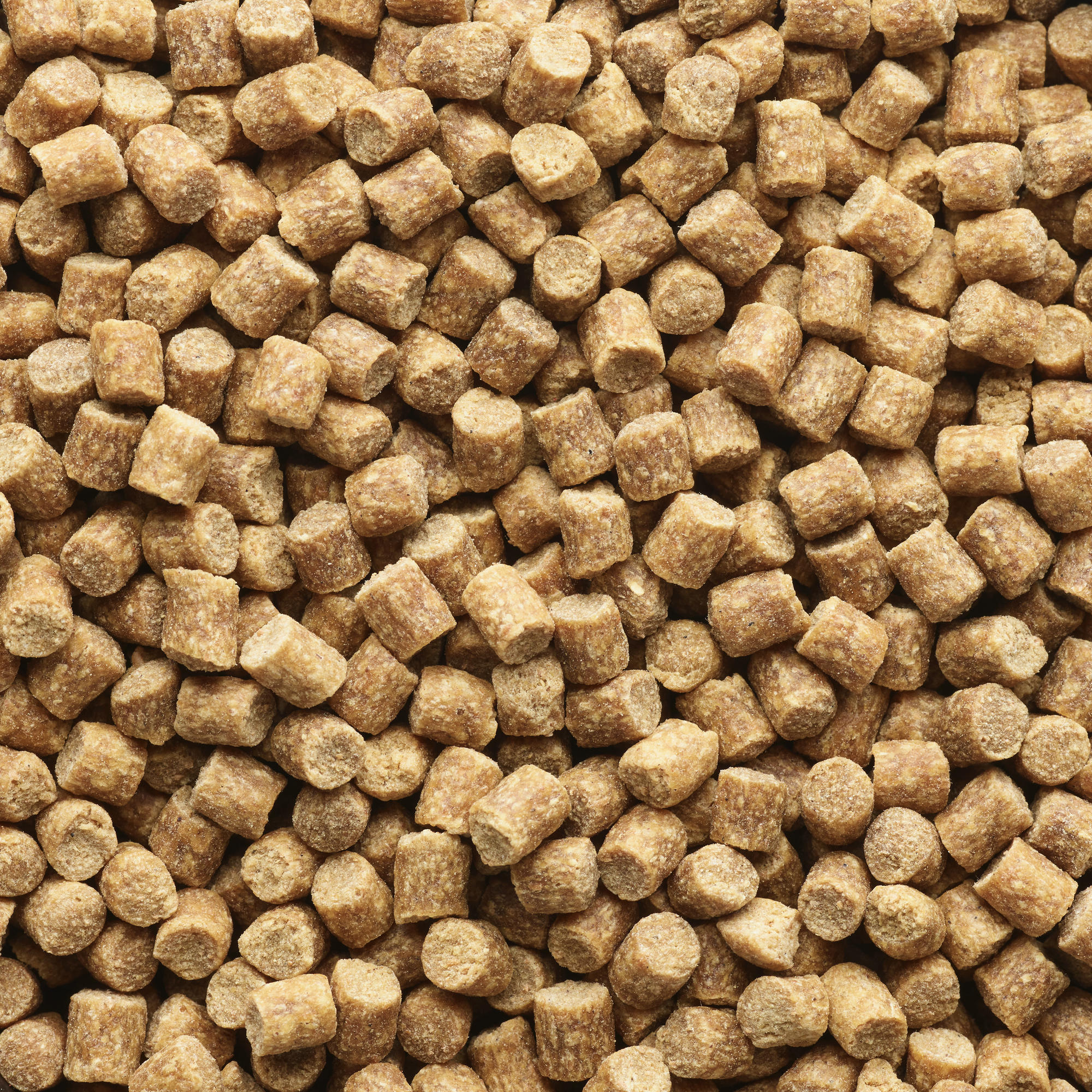 miglior pellet per carpe