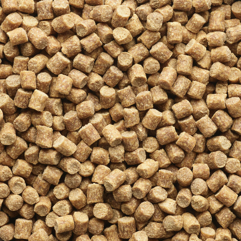 Pellets pêche de la carpe Xtrem Carp Pellets 3kg 4mm Chocolat