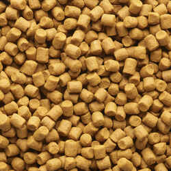 Pellets Carp Xtrem Scopex 3kg 4mm