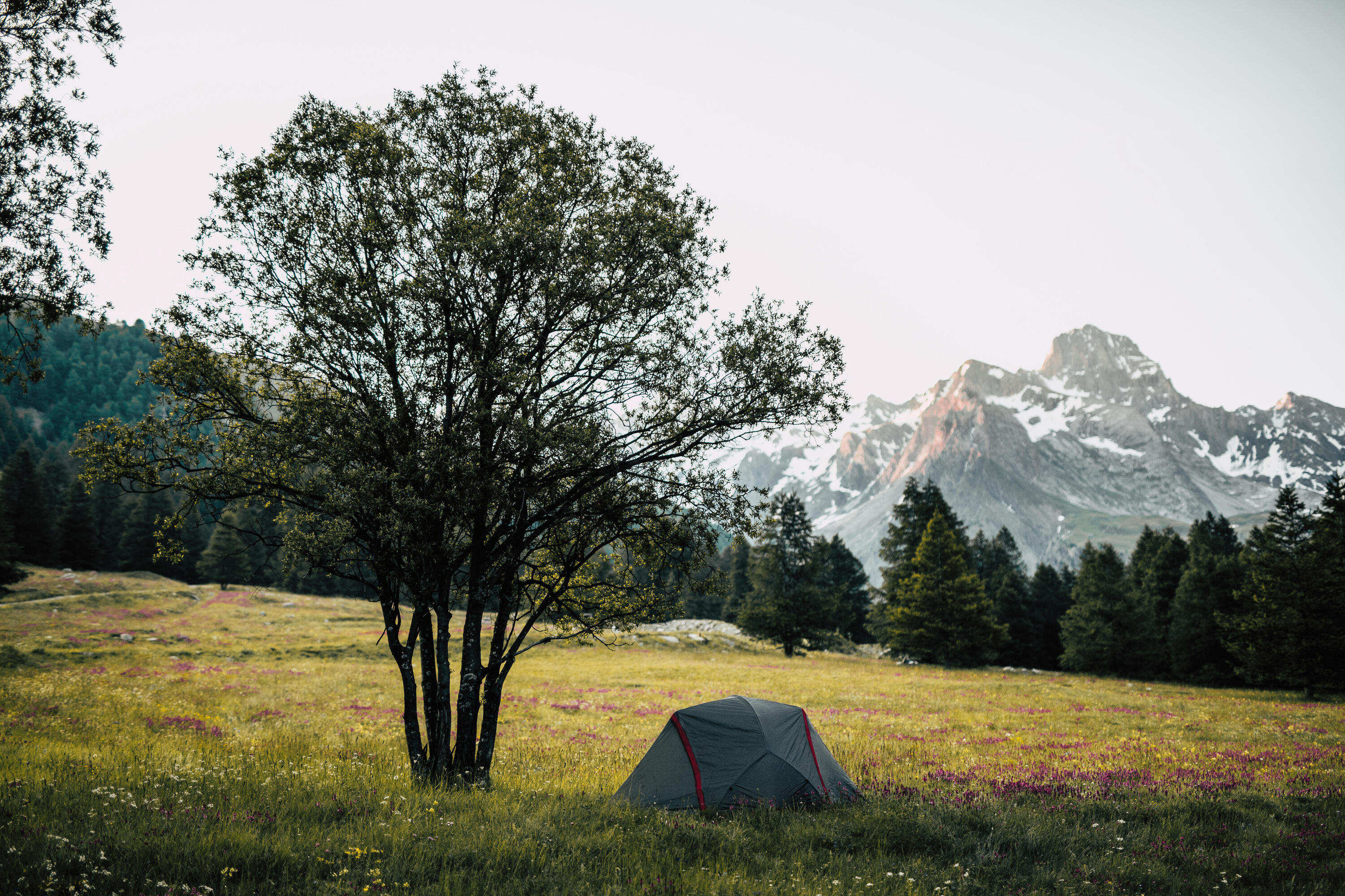 Tunnel Trekking Tent - 3 person - MT900 Ultralight 2/15