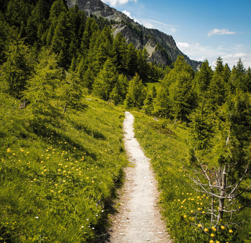 Où voyager en juin ? Notre sélection de treks